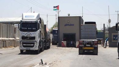 Euronews: Humanitarian Aid Reaches Gaza, Desperation Grips Palestinians