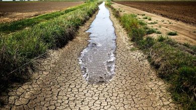 Expectations of "La Niña" Return: Brazil Prepares for Severe Drought