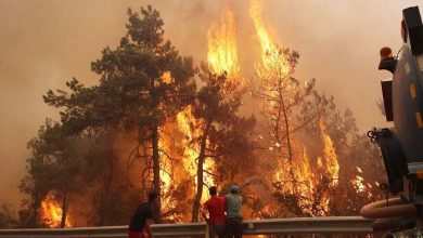 Five Killed and Dozens Injured in Wildfires in Turkey