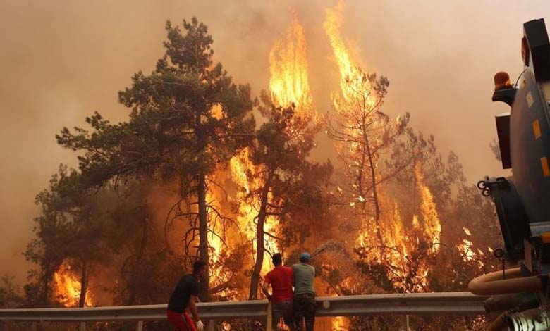 Five Killed and Dozens Injured in Wildfires in Turkey