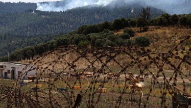Forest Fires in Israel: What is Hezbollah's Involvement and What are the Consequences?