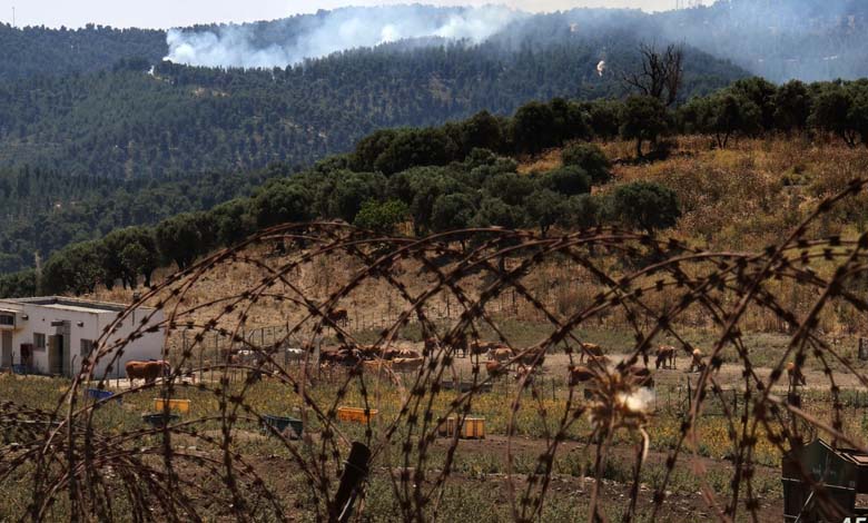 Forest Fires in Israel: What is Hezbollah's Involvement and What are the Consequences?