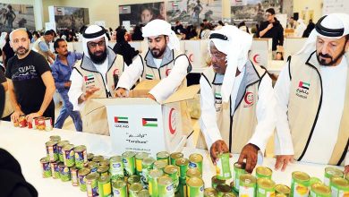 Global Solidarity in Crises: UAE Leads Call for Humanitarian Relief in Gaza