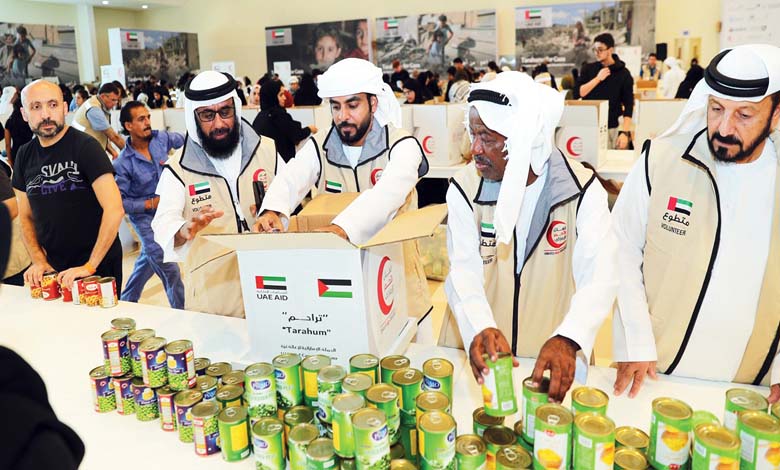 Global Solidarity in Crises: UAE Leads Call for Humanitarian Relief in Gaza
