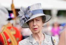 Princess Anne Suffers Accident and Sustains Concussion