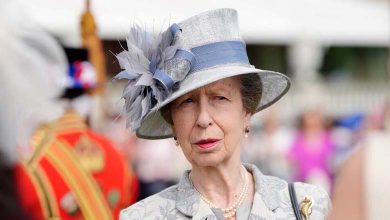 Princess Anne Suffers Accident and Sustains Concussion