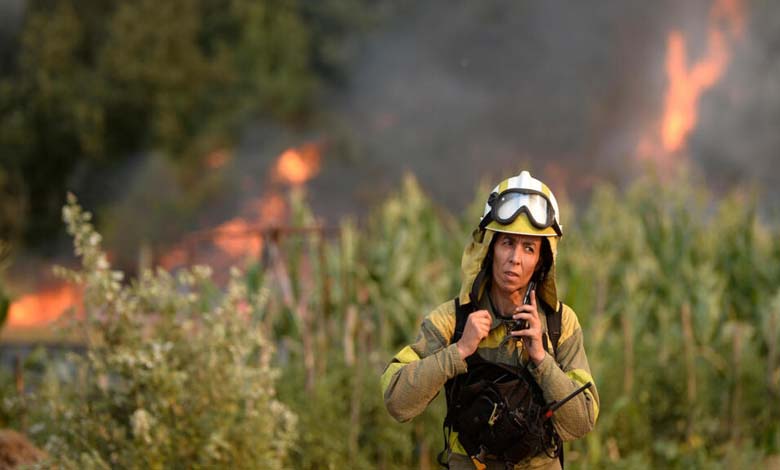 Strong winds fuel new wildfires in Greece