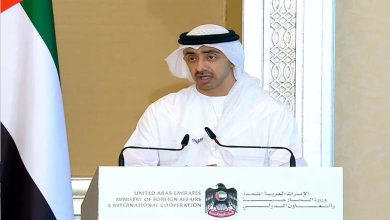 UAE's call for peace: An arab appeal to protect innocents in Palestine
