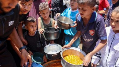UNRWA: "Looting" Operations Hamper Aid Delivery in Gaza