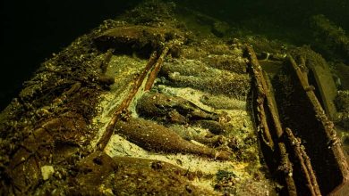 19th Century Shipwreck Containing 100 Bottles of Champagne Found