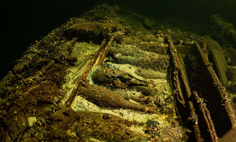 19th Century Shipwreck Containing 100 Bottles of Champagne Found