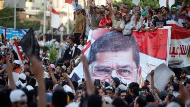 Did the Muslim Brotherhood aim to destroy the Egyptian identity? Details