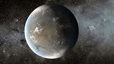 Discovery of a New Earth-Sized Habitable Planet