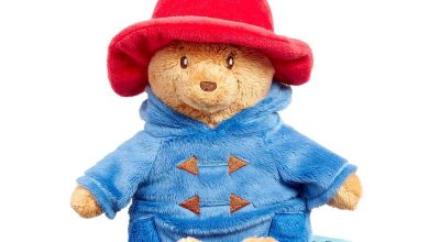 King Charles puts "Paddington Bear" on sale for $320