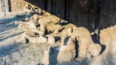 Revealing Fascinating Facts About the City of Fire and Hell, Pompeii