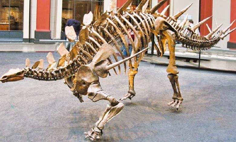 Revealing the Identity of the Buyer of the Most Expensive Dinosaur Skeleton