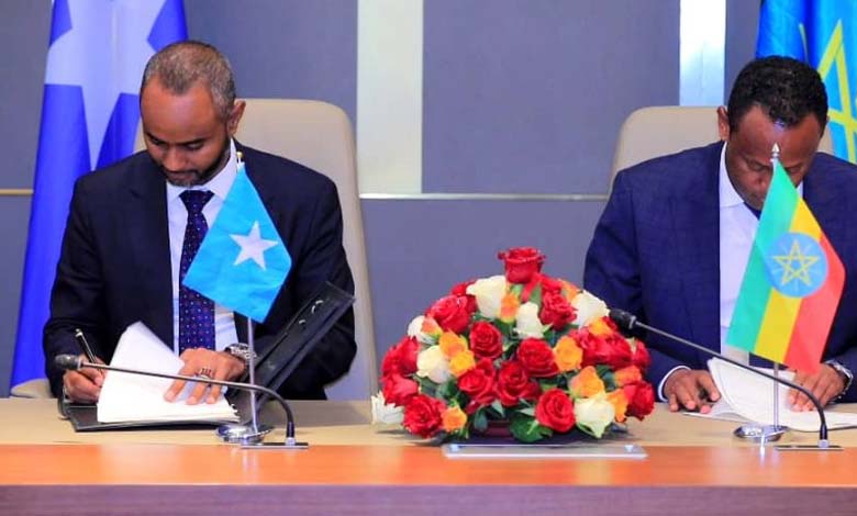 Somalia-Ethiopia Conflict: Turkey Steps into the 'Port Crisis'