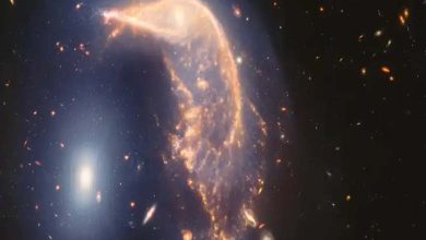 The Penguin and the Egg: NASA Releases Stunning Images of Two Galaxies Merging