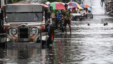 Typhoon "Gaemi" Claims 20 Lives in the Philippines