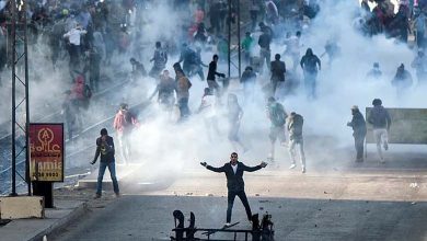 "Year of Lies and Blood": Major Terrorist Crimes Committed by the Muslim Brotherhood in Egypt
