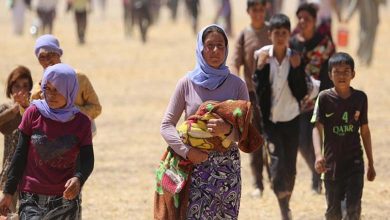 A Decade After the Genocide... the Suffering of the Yazidis Has Not Ended