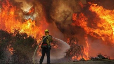 Brazil Declares Itself "At War" Against Fires