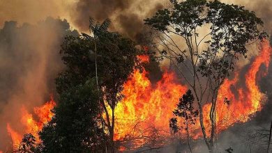 Brazil: Fires Kill Two People and Threaten Large Areas