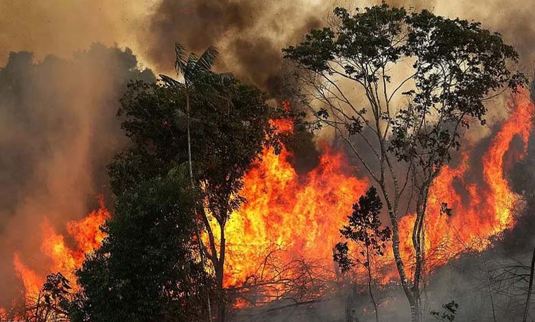 Brazil: Fires Kill Two People and Threaten Large Areas