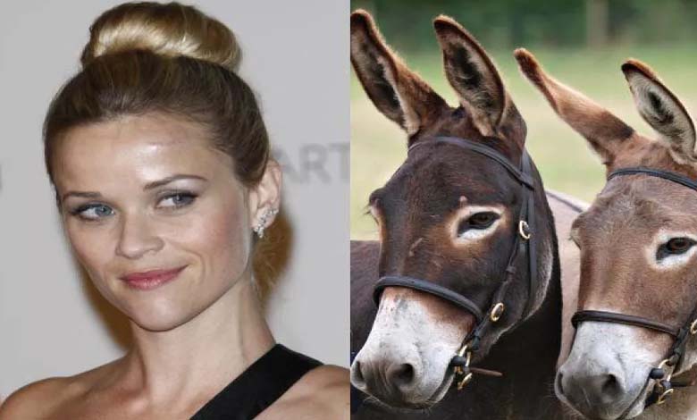 Celebrities and Owning Wild Animals: A Rare Hobby or a Showoff?