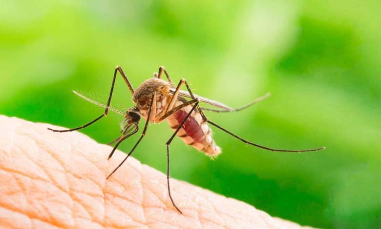 First Death from Rare Disease Caused by a "Mosquito Bite" in the U.S.