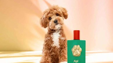 Luxury Dog Perfume by "Dolce & Gabbana" Sparks Controversy