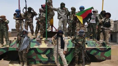Malian Army and Allies Use Drones in Attack Against Tuaregs