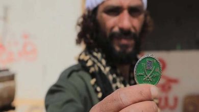 Muslim Brotherhood's Maneuvers: Desperate Attempts for a Comeback with Illusory Reconciliation and Internal Struggles