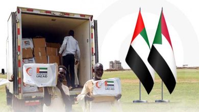 Political and Humanitarian Momentum: UAE Intensifies Efforts to End the Sudan Crisis