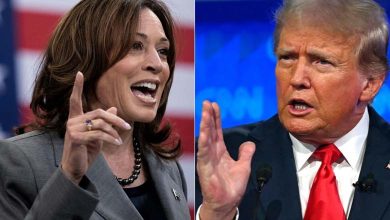 Trump or Harris? The Stock Market Predicts the Winner