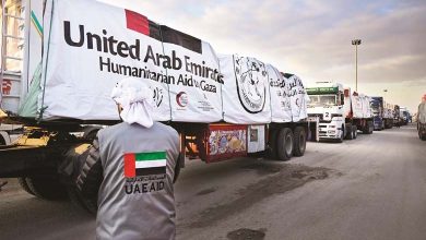 UAE's Support for Gaza: Record Efforts and Humanitarian Leadership