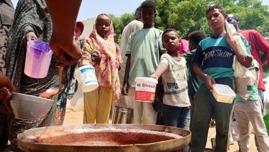 War and Famine: Sudan's conflict drives Darfur to the brink