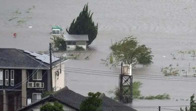 43 Dead Due to Storm "Helene" Causing Widespread Destruction in Florida and Georgia