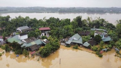 Death Toll from Typhoon "Yagi" in Vietnam Rises to 143