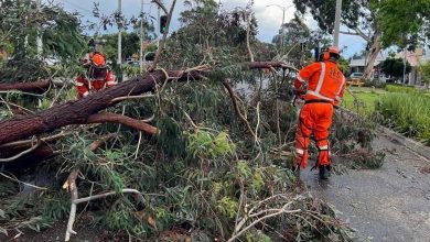 Deaths and power outages in Australia due to storms