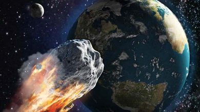 Discovery of an Asteroid That Could Collide with Earth