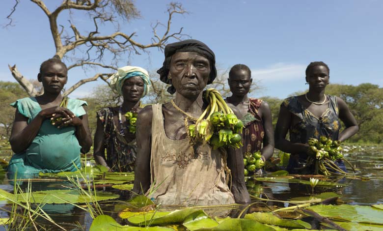 Expert Comments on "Gas Emissions" from the Earth in Northern Sudan