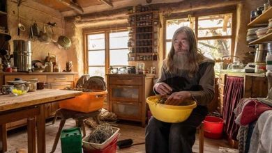 In a Treehouse... An Octogenarian Leads an "Unconventional" Lifestyle