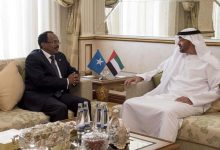 Somalia Praises UAE's Support in Fighting Terrorism