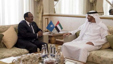 Somalia Praises UAE's Support in Fighting Terrorism