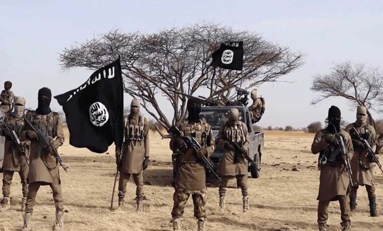 What are the Reasons Behind the Increase in ISIS Activity in Africa and What are the Scenarios for its Defeat?