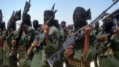 Why is the Somali group "Al-Shabaab" one of the most important arms of transnational terrorist networks?