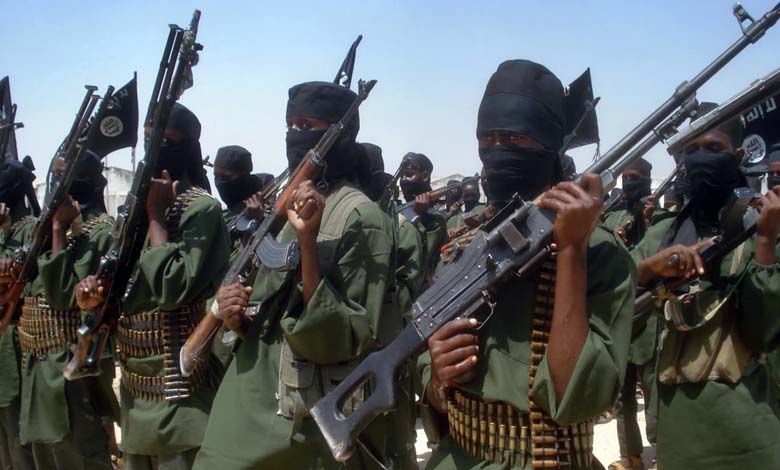 Why is the Somali group "Al-Shabaab" one of the most important arms of transnational terrorist networks?