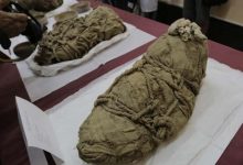 "Astonishing" Discovery during the Dissection of Mummified Hands in Peru