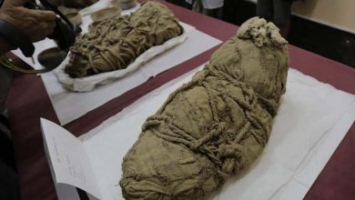 "Astonishing" Discovery during the Dissection of Mummified Hands in Peru